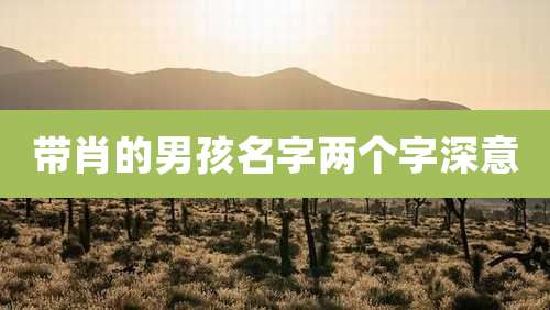 带肖的男孩名字两个字深意