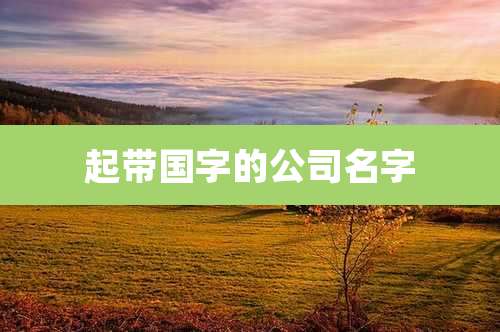 起带国字的公司名字