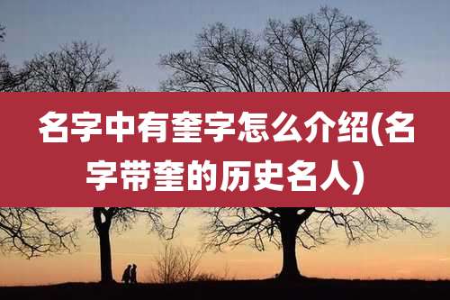 名字中有奎字怎么介绍(名字带奎的历史名人)