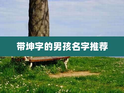 带坤字的男孩名字推荐