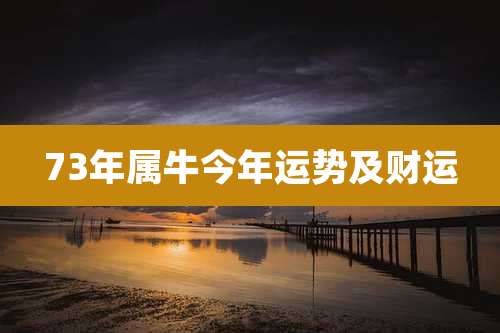 73年属牛今年运势及财运