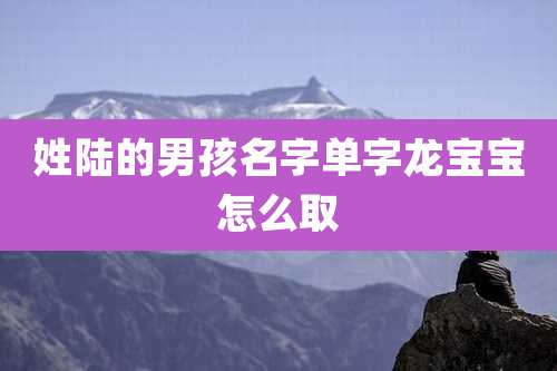 姓陆的男孩名字单字龙宝宝怎么取