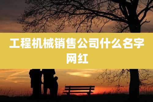 工程机械销售公司什么名字网红