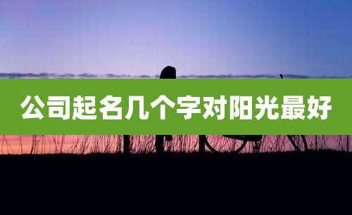 公司起名几个字对阳光最好
