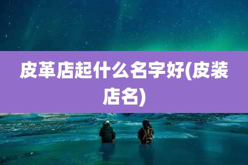 皮革店起什么名字好(皮装店名)
