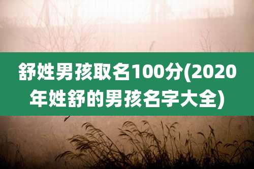舒姓男孩取名100分(2020年姓舒的男孩名字大全)