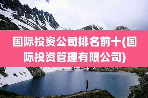 国际投资公司排名前十(国际投资管理有限公司)