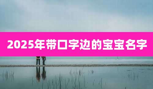 2025年带口字边的宝宝名字