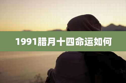 1991腊月十四命运如何