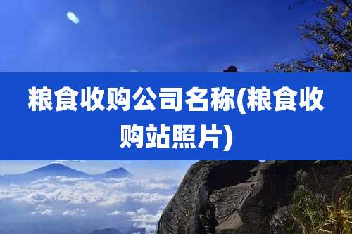 粮食收购公司名称(粮食收购站照片)