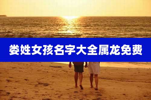 娄姓女孩名字大全属龙免费