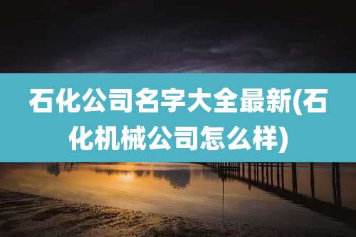 石化公司名字大全最新(石化机械公司怎么样)