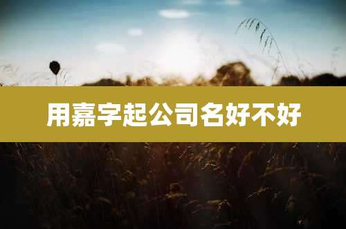 用嘉字起公司名好不好