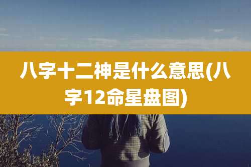 八字十二神是什么意思(八字12命星盘图)