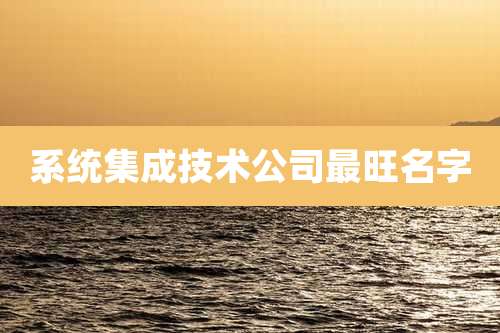 系统集成技术公司最旺名字