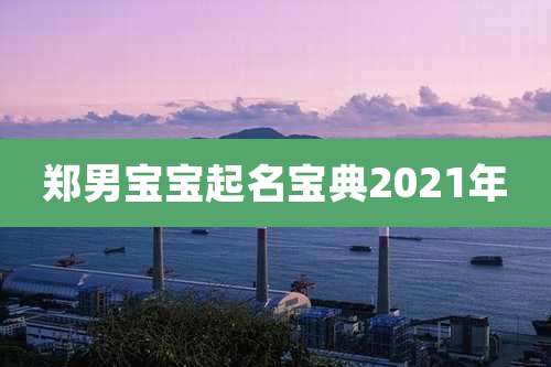 郑男宝宝起名宝典2021年