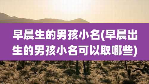 早晨生的男孩小名(早晨出生的男孩小名可以取哪些)