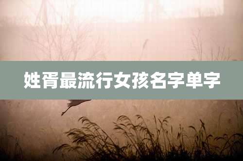 姓胥最流行女孩名字单字