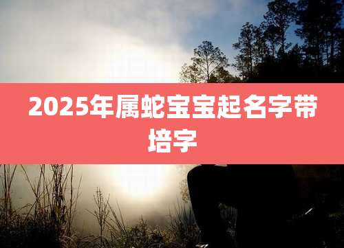 2025年属蛇宝宝起名字带培字