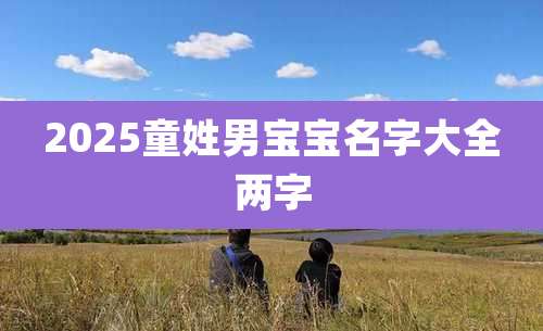 2025童姓男宝宝名字大全两字
