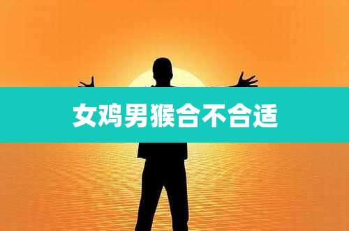 女鸡男猴合不合适