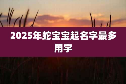 2025年蛇宝宝起名字最多用字