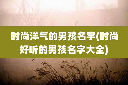 时尚洋气的男孩名字(时尚好听的男孩名字大全)