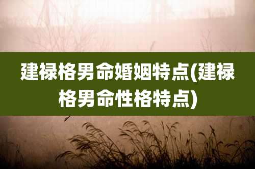 建禄格男命婚姻特点(建禄格男命性格特点)