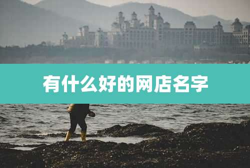 有什么好的网店名字