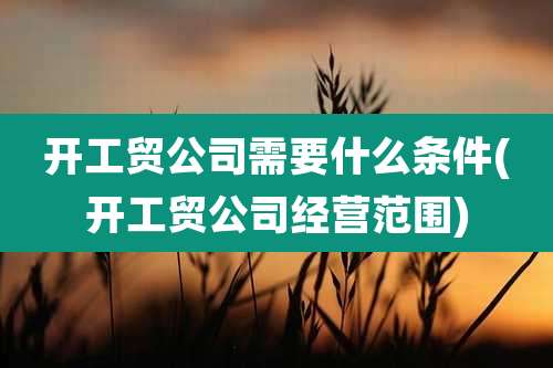 开工贸公司需要什么条件(开工贸公司经营范围)