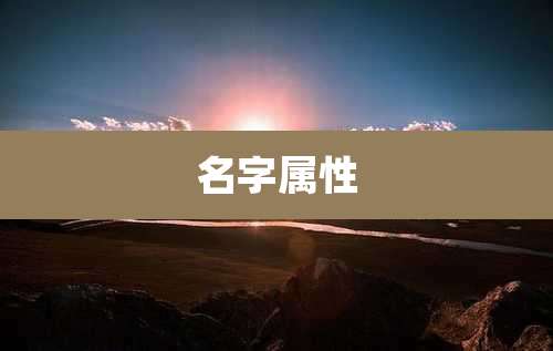 名字属性