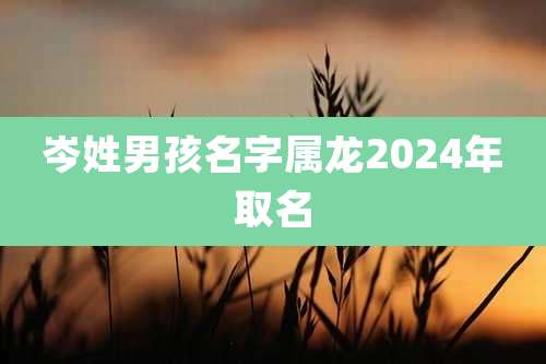 岑姓男孩名字属龙2024年取名