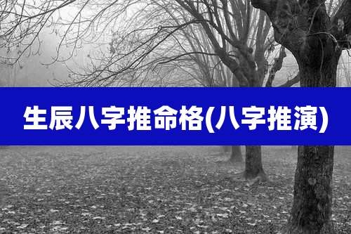 生辰八字推命格(八字推演)