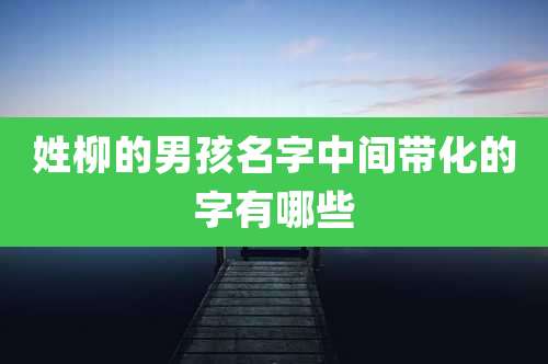 姓柳的男孩名字中间带化的字有哪些