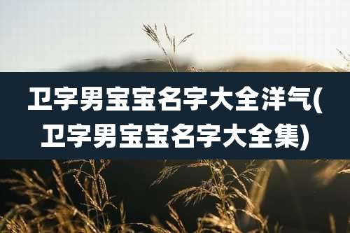 卫字男宝宝名字大全洋气(卫字男宝宝名字大全集)