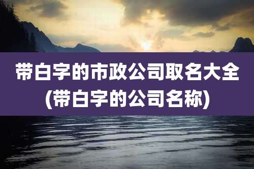 带白字的市政公司取名大全(带白字的公司名称)