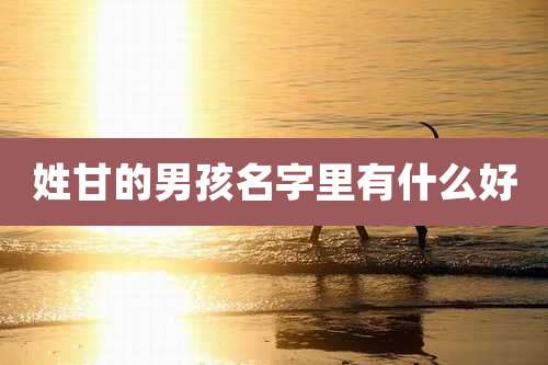 姓甘的男孩名字里有什么好