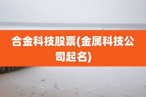 合金科技股票(金属科技公司起名)
