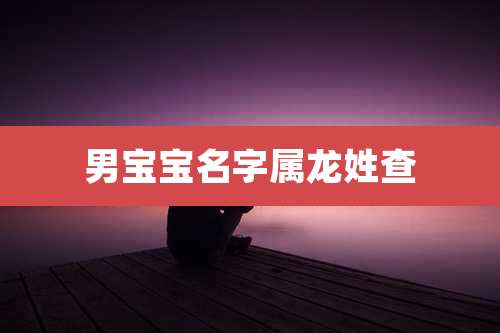 男宝宝名字属龙姓查