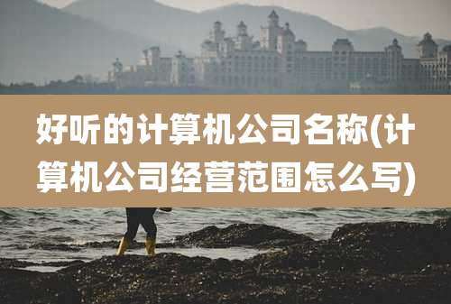 好听的计算机公司名称(计算机公司经营范围怎么写)