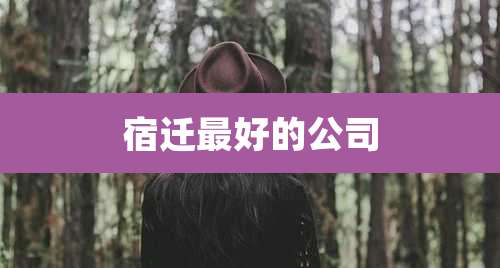 宿迁最好的公司