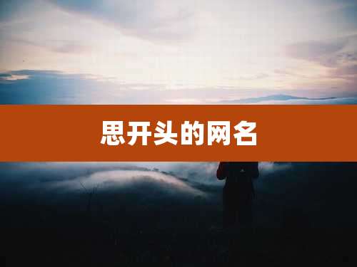 思开头的网名