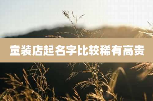 童装店起名字比较稀有高贵