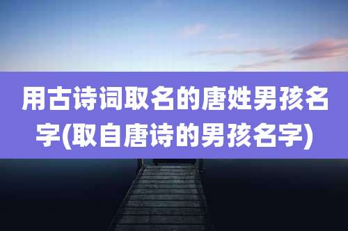 用古诗词取名的唐姓男孩名字(取自唐诗的男孩名字)