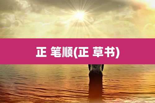 正 笔顺(正 草书)