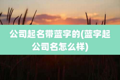 公司起名带蓝字的(蓝字起公司名怎么样)