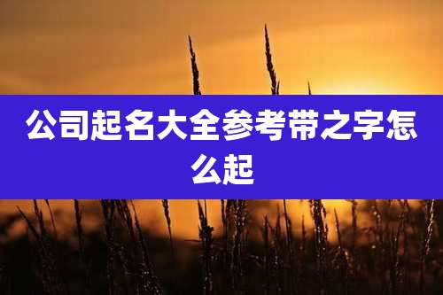 公司起名大全参考带之字怎么起
