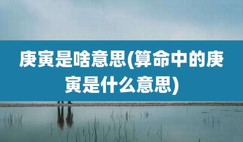 庚寅是啥意思(算命中的庚寅是什么意思)