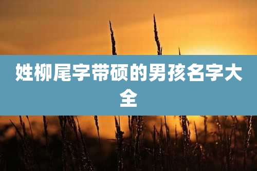 姓柳尾字带硕的男孩名字大全