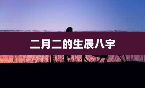 二月二的生辰八字